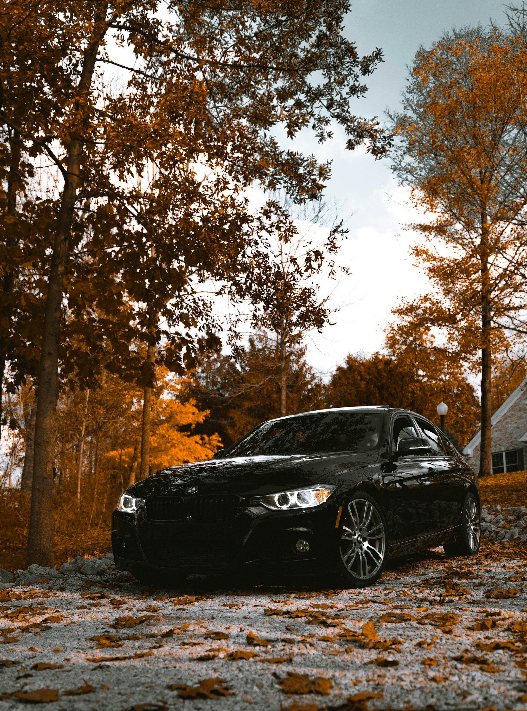 Bmw 335I